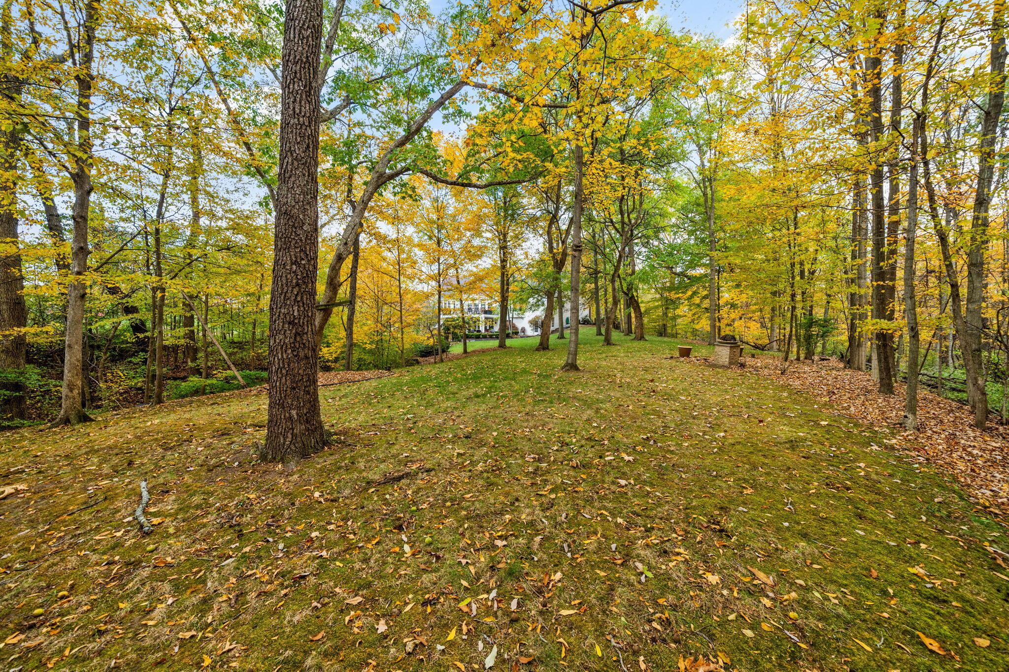 6573 Spinnaker Drive