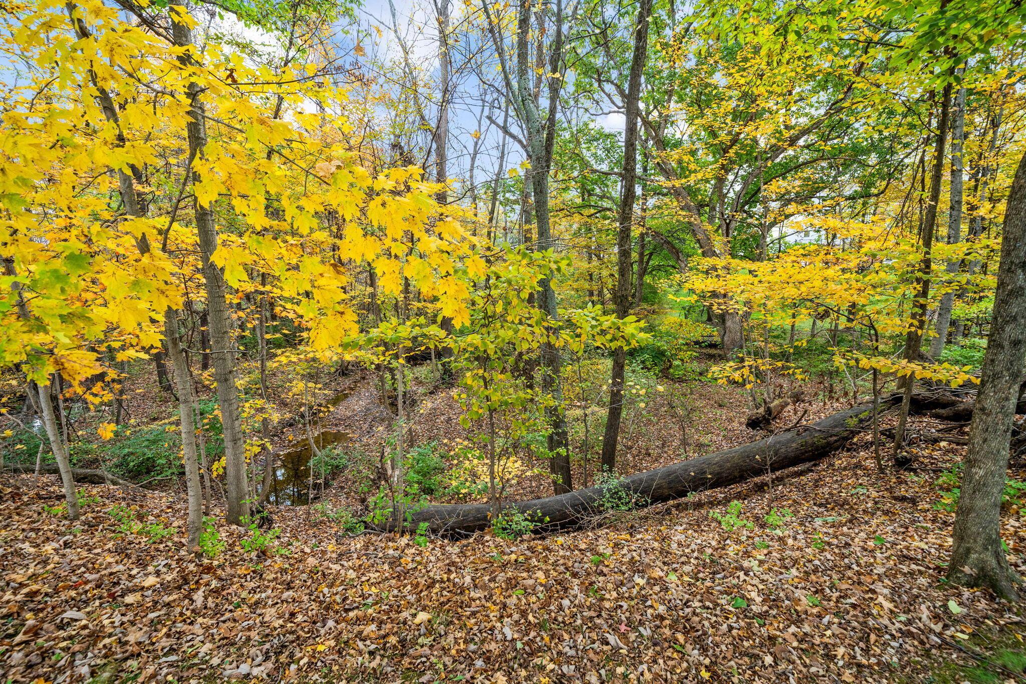 6573 Spinnaker Drive