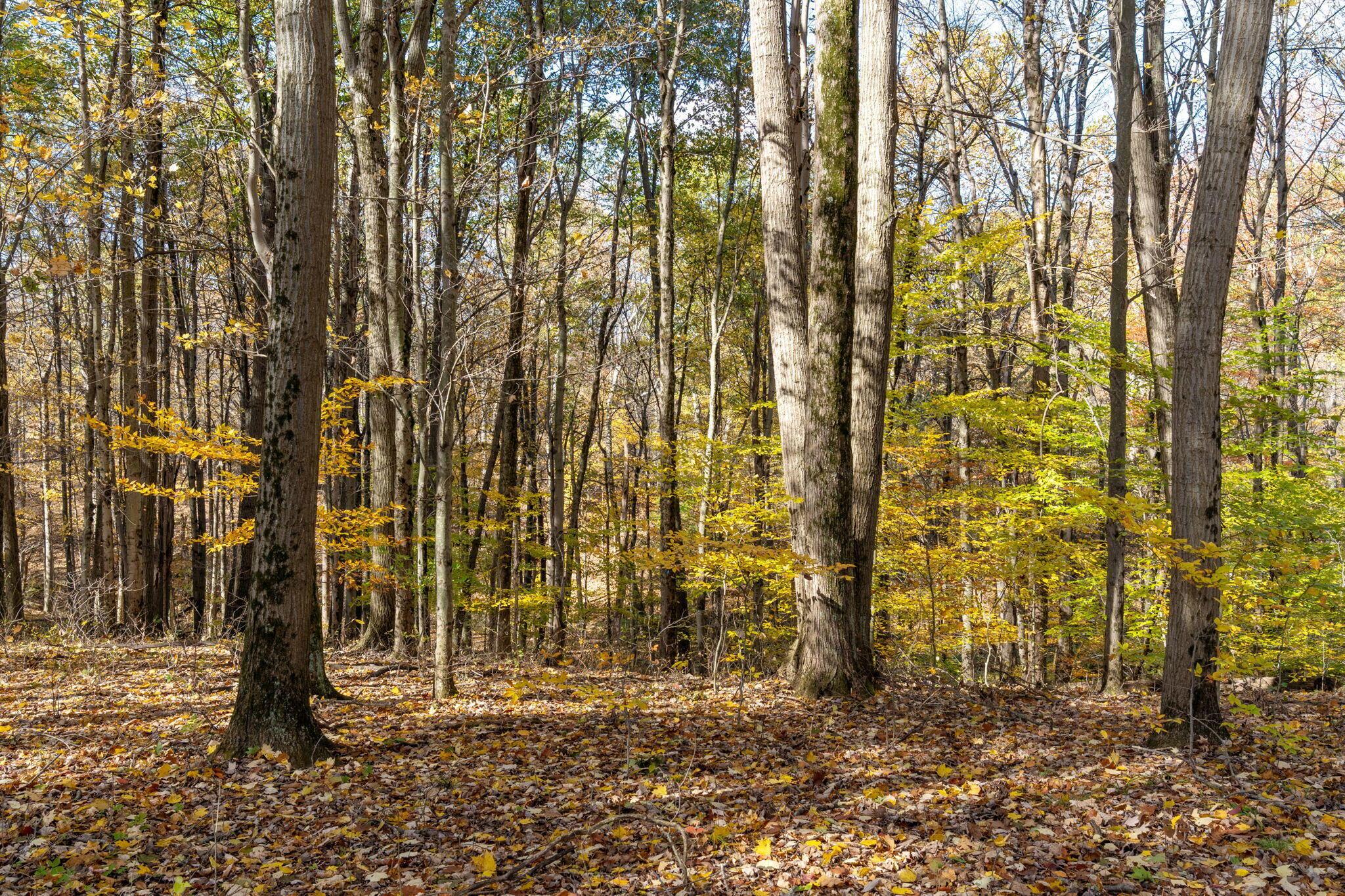 4330 Wesleyan Church Road