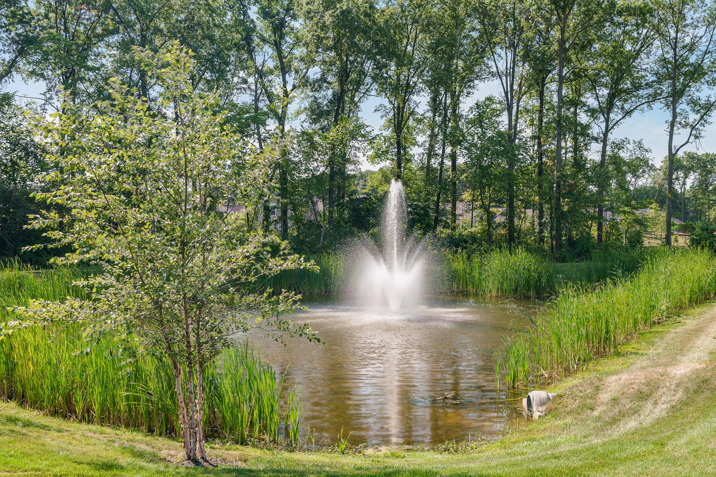 7737 Strickland Drive, 49