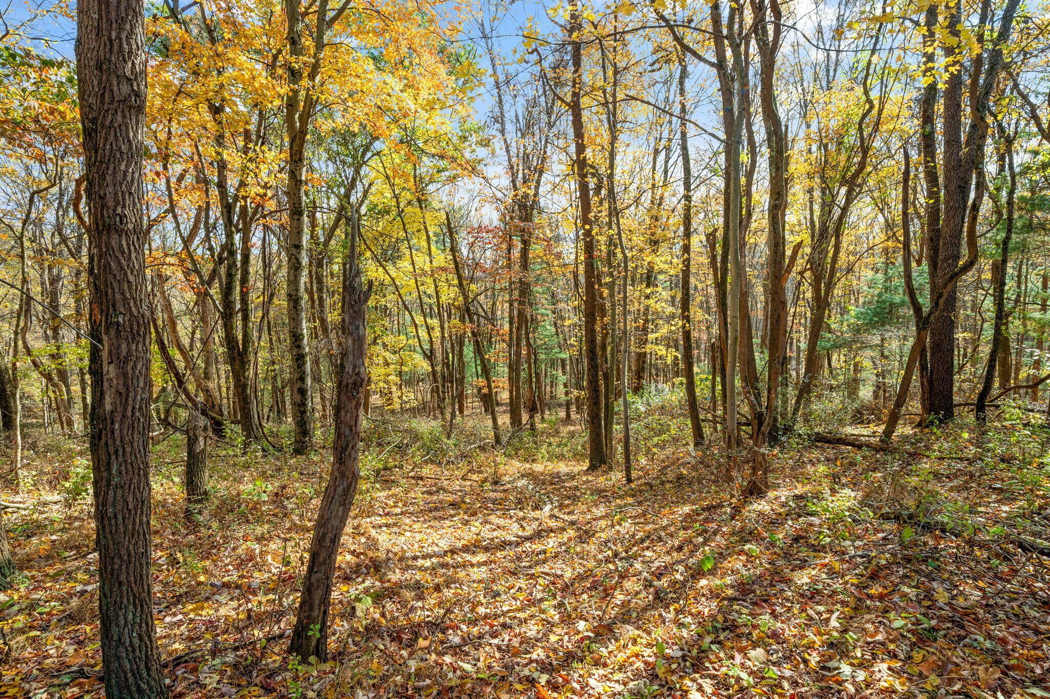 129 Orchard Wood Path