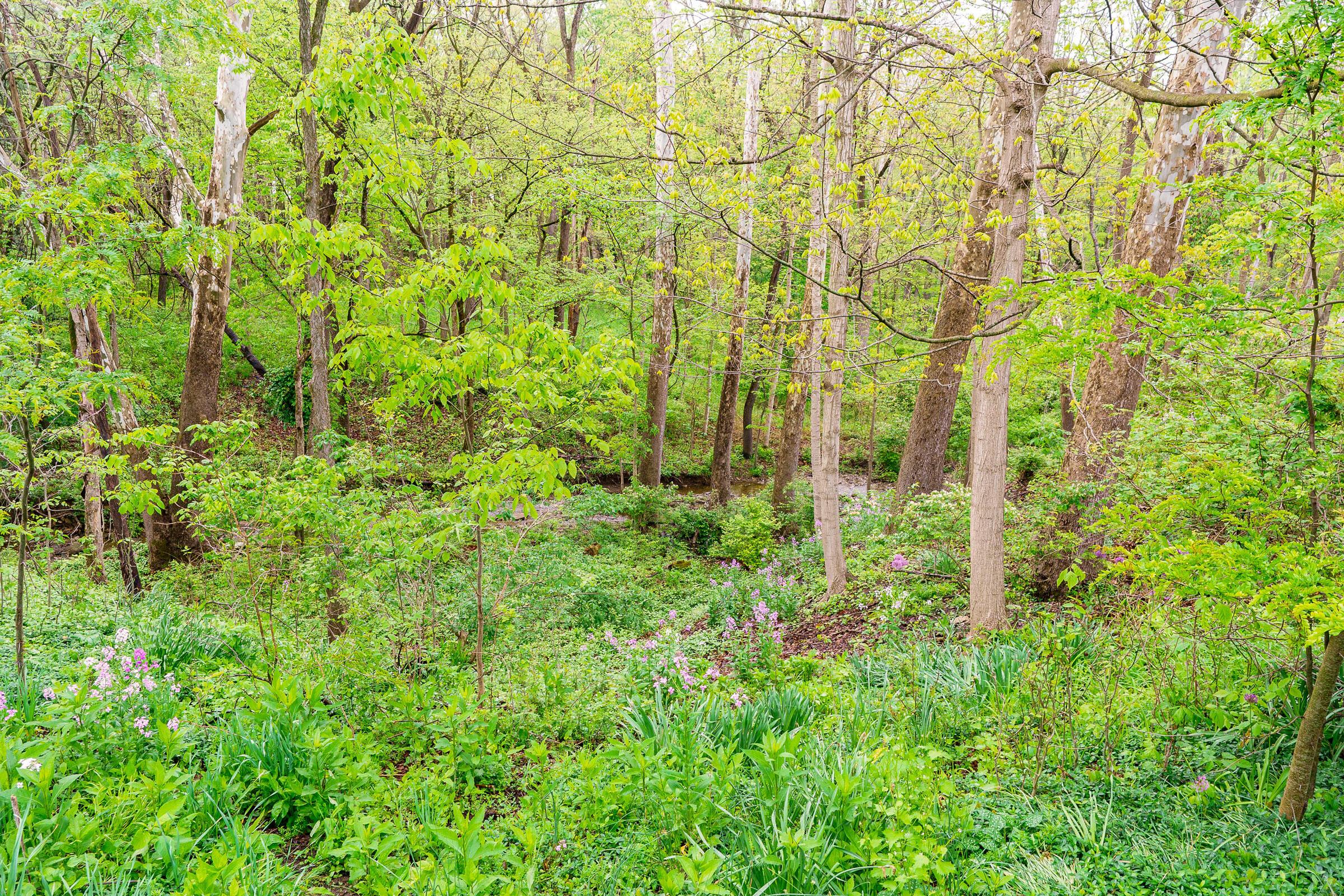 1484 Carriage Road