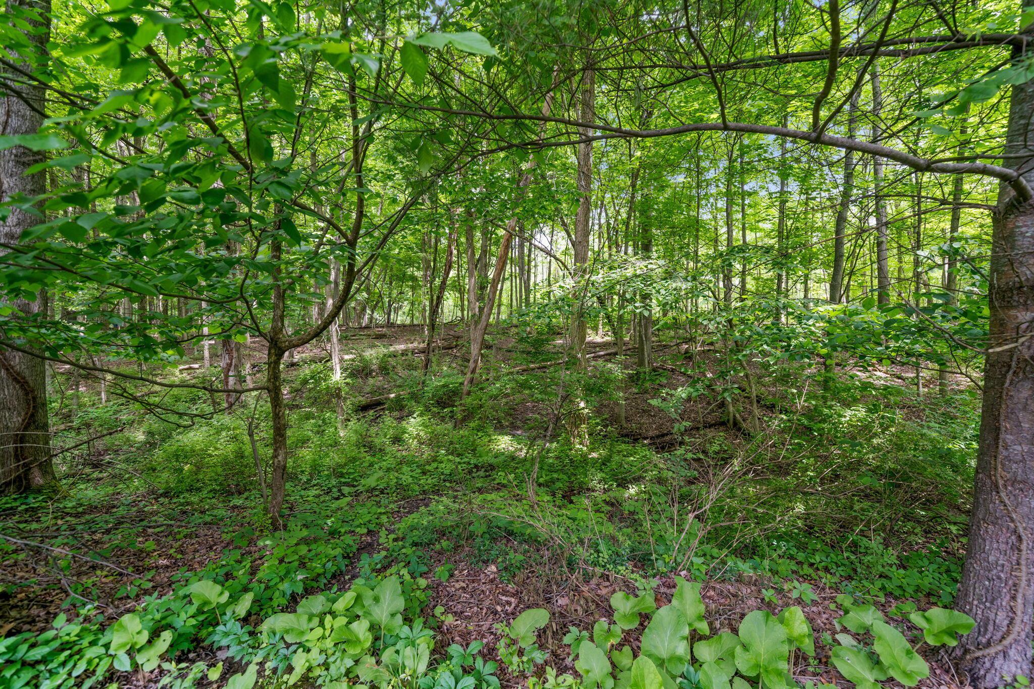 650 W Orange Road