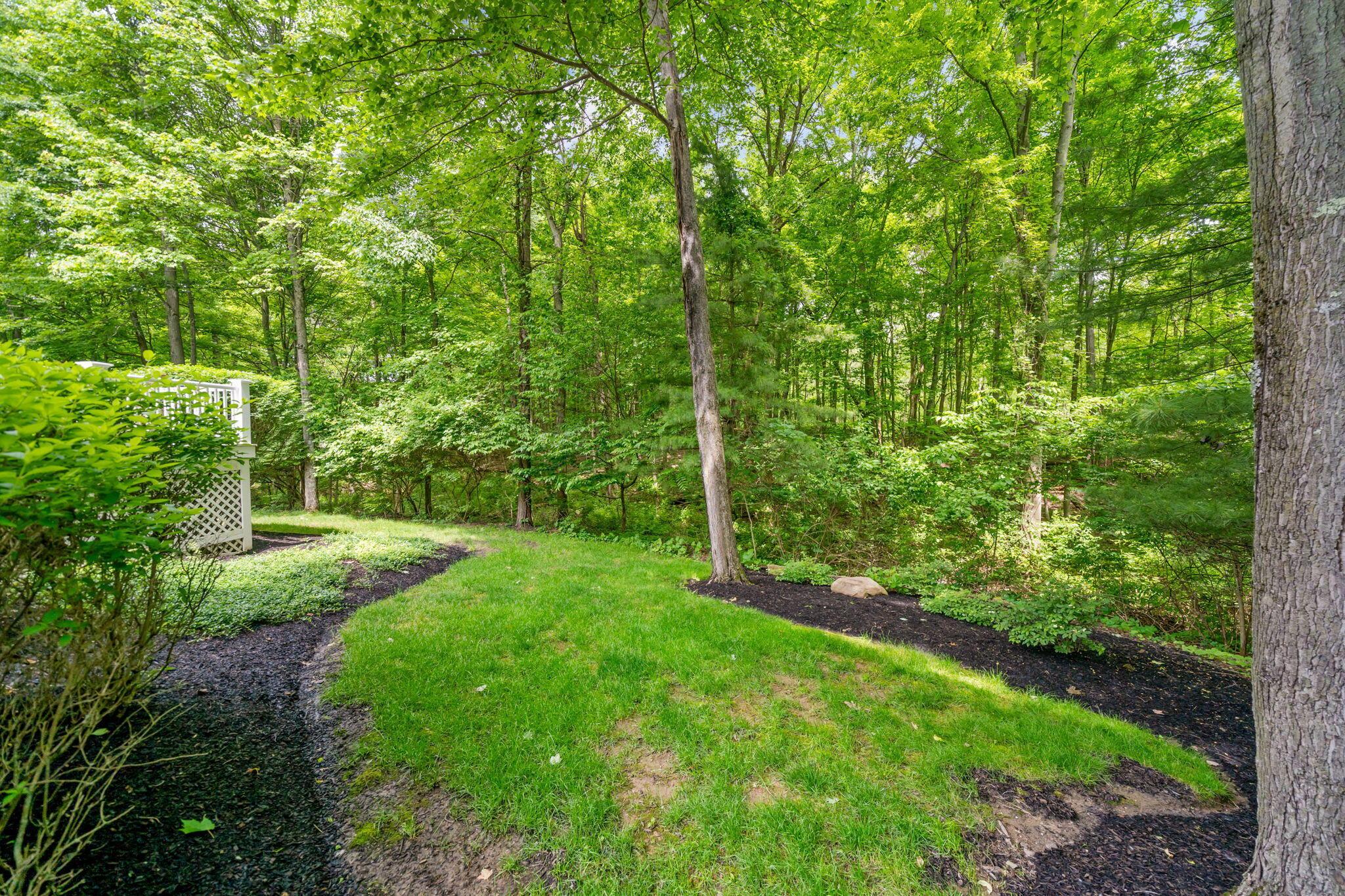 650 W Orange Road