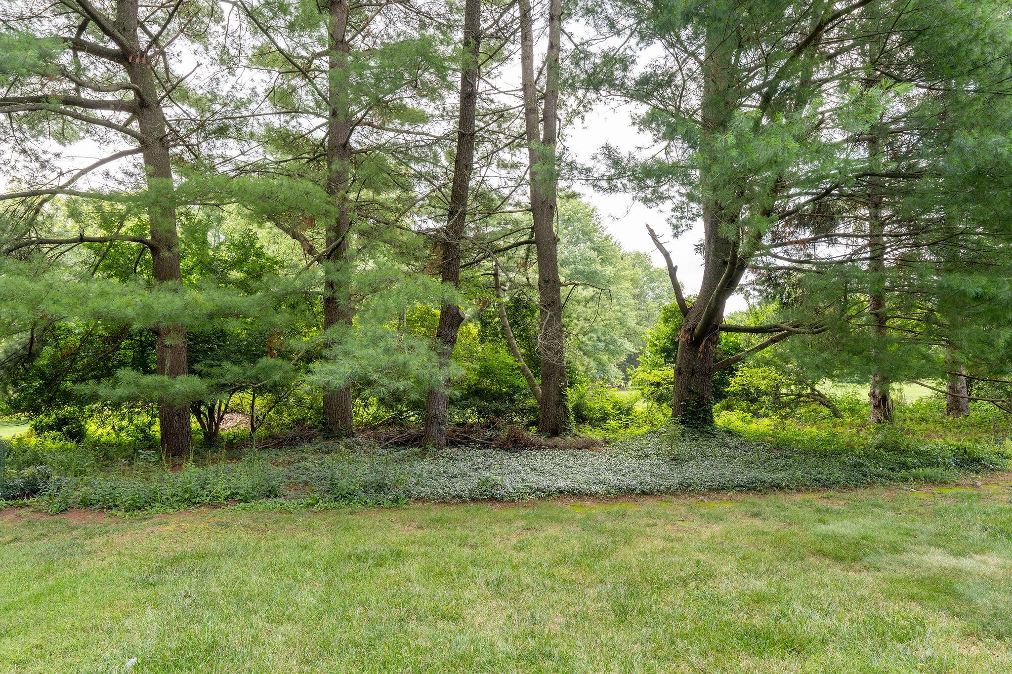1350 Carriage Road