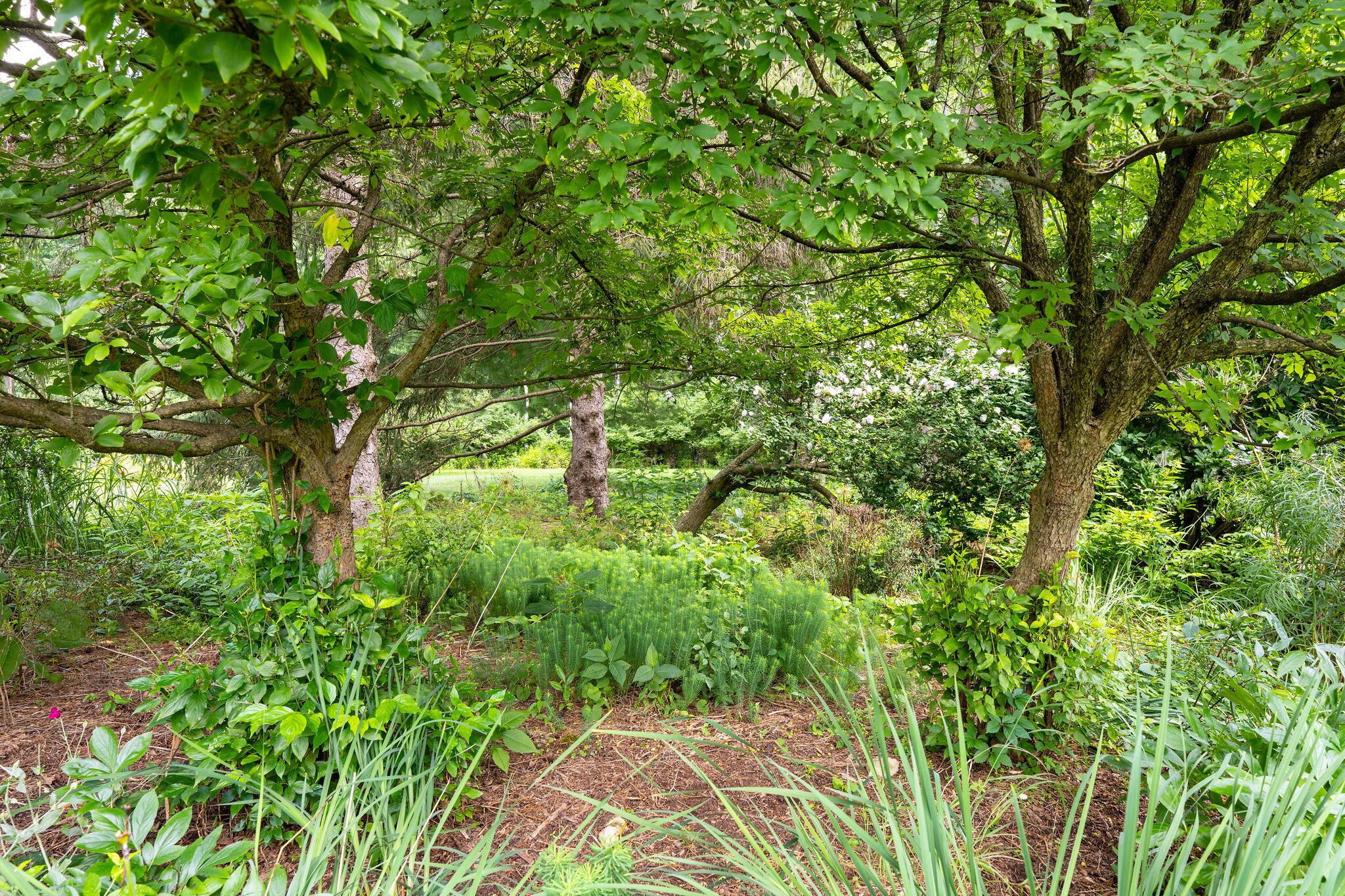 1350 Carriage Road
