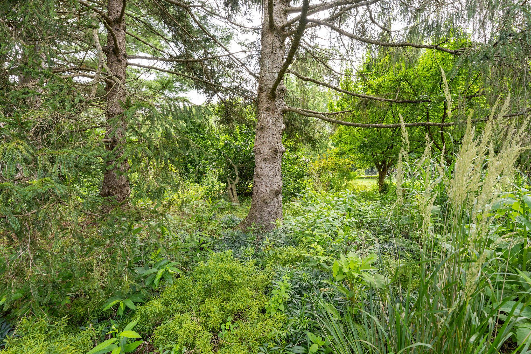 1350 Carriage Road