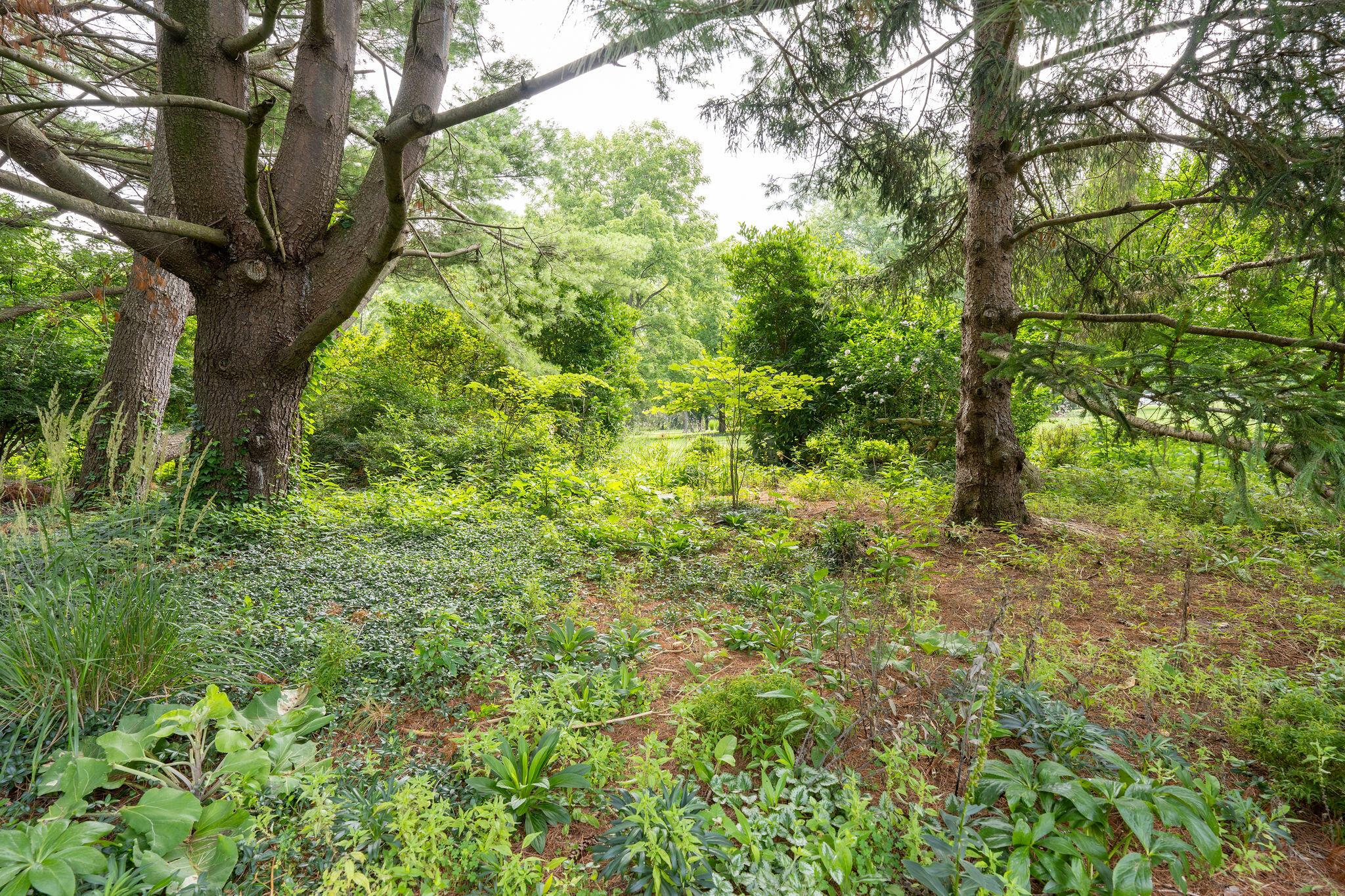 1350 Carriage Road