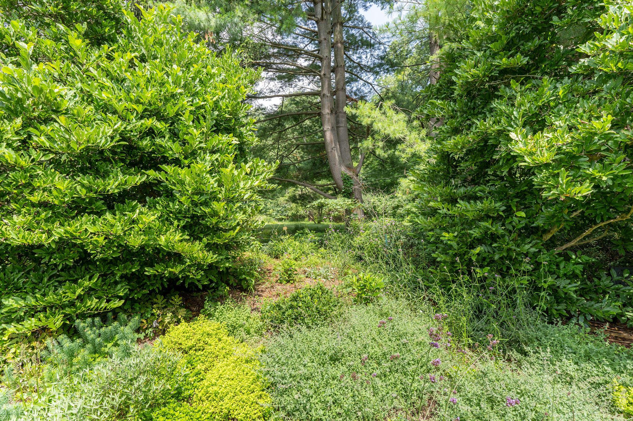 1350 Carriage Road