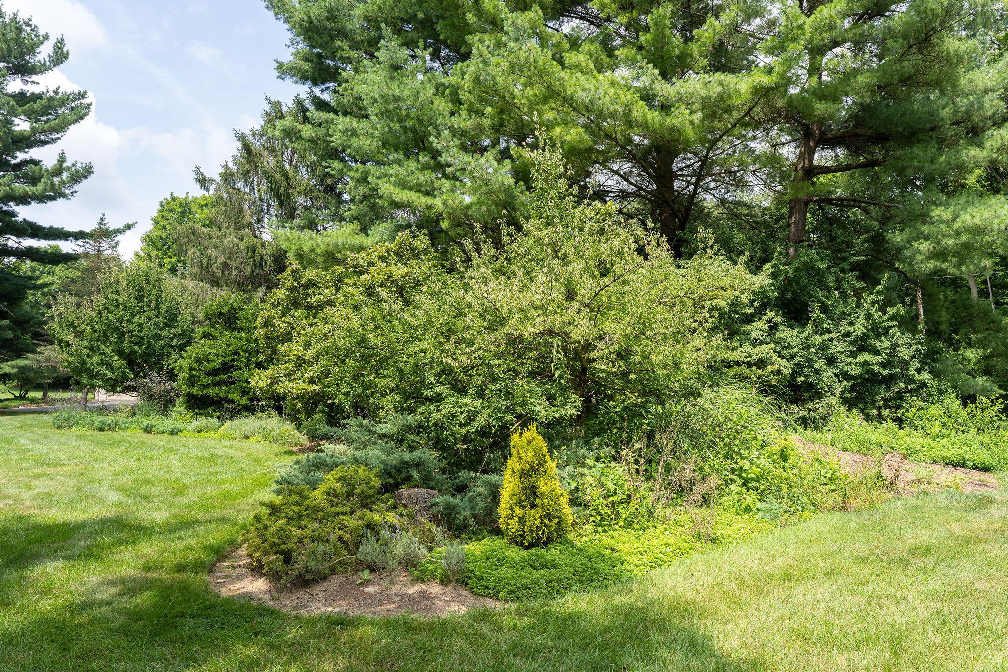 1350 Carriage Road