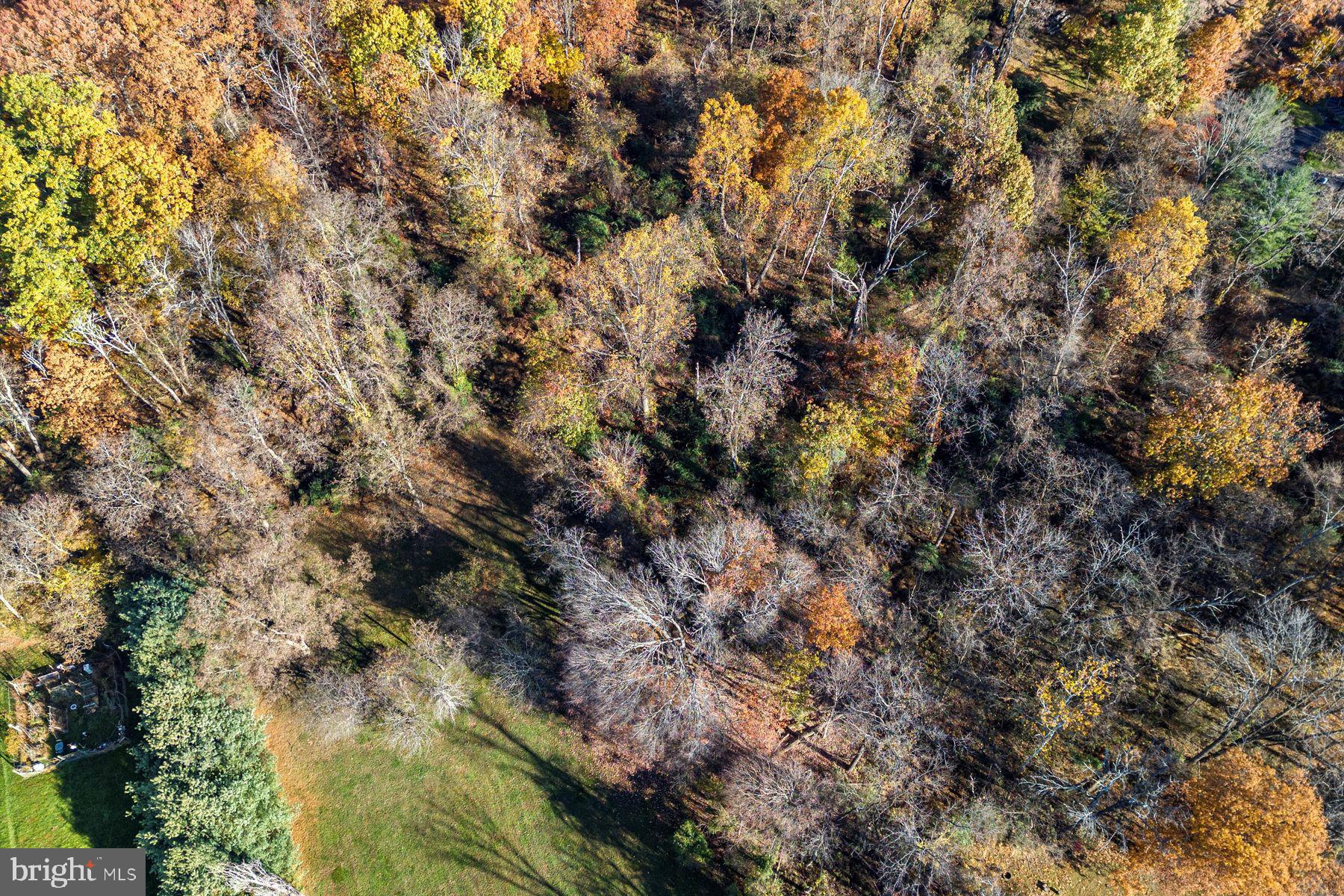 945 Taylorsville ROAD Unit: LOT B