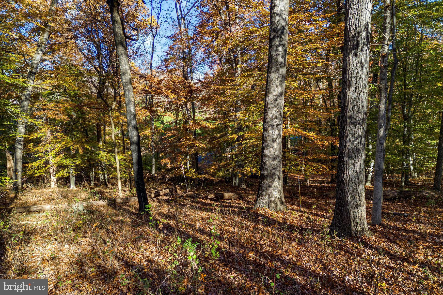 945 Taylorsville ROAD Unit: LOT B
