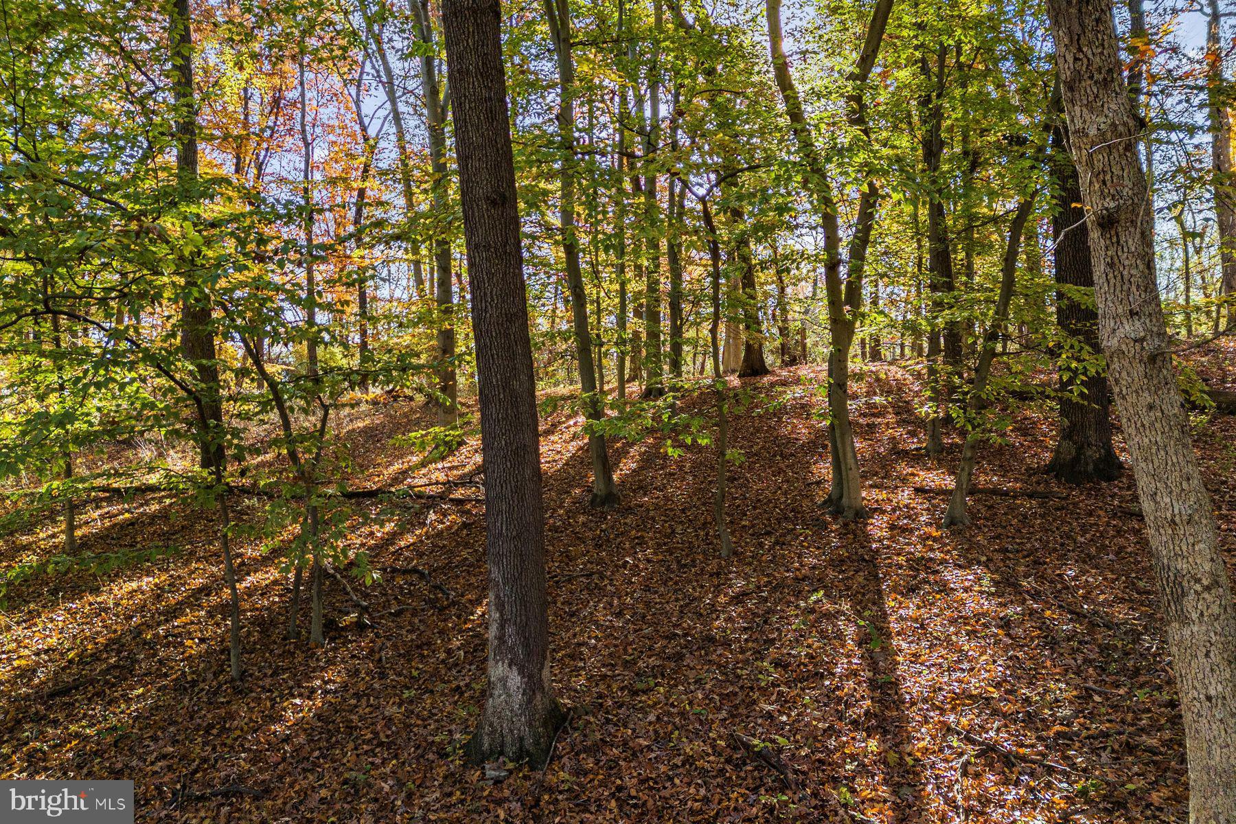 945 Taylorsville ROAD Unit: LOT B