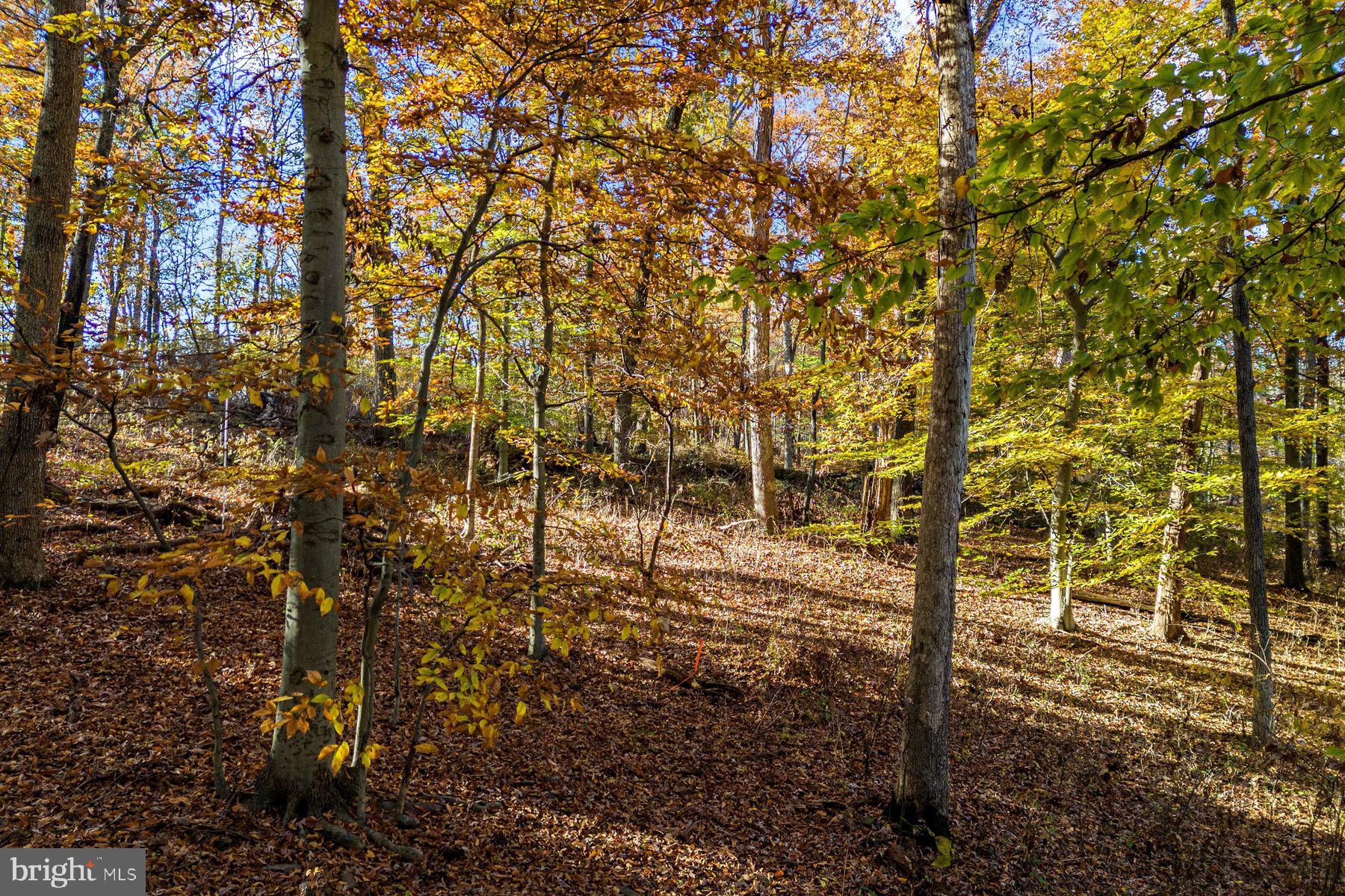 945 Taylorsville ROAD Unit: LOT B