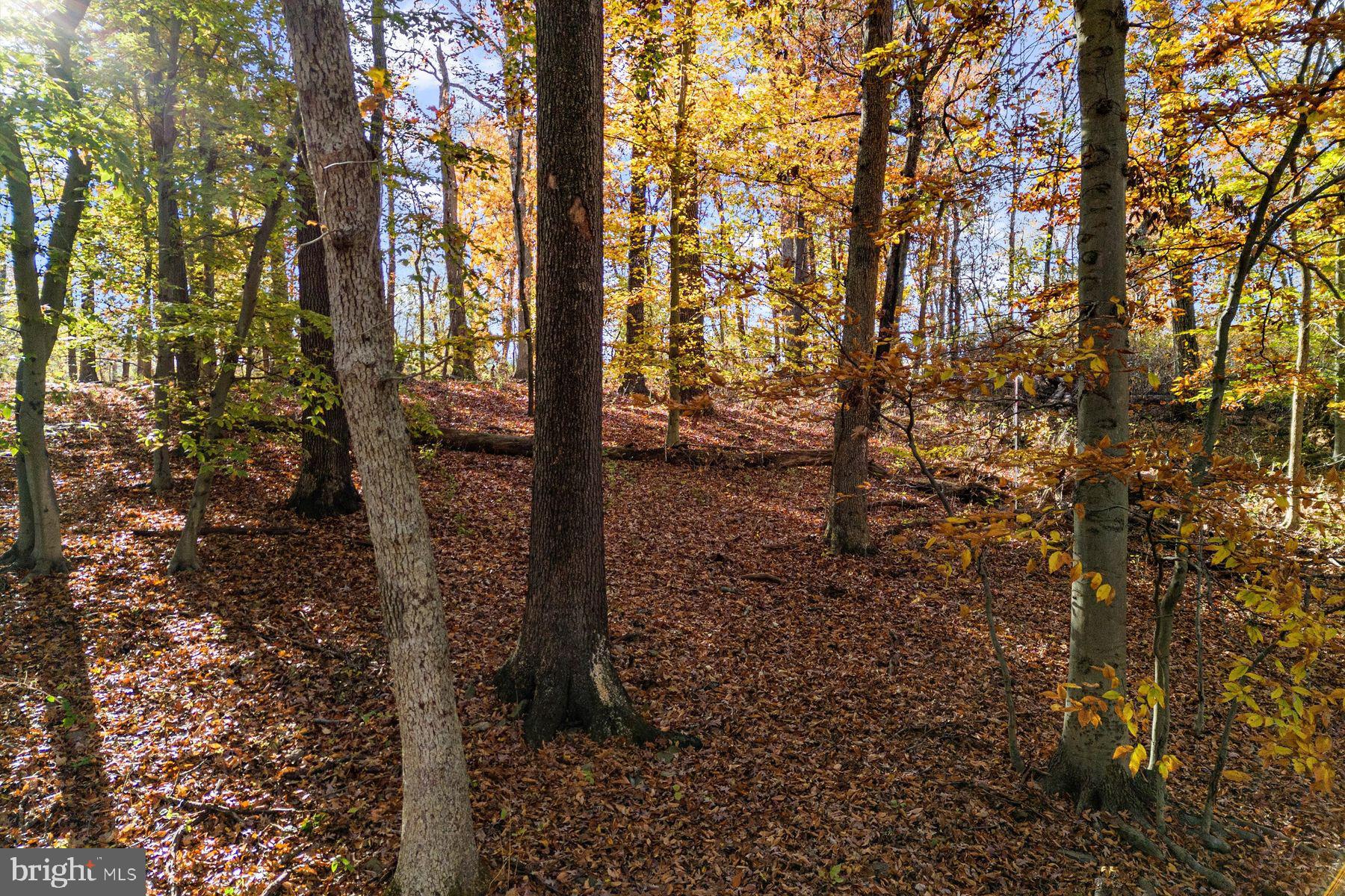 945 Taylorsville ROAD Unit: LOT B