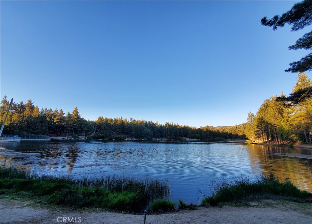 33429 Robin Drive