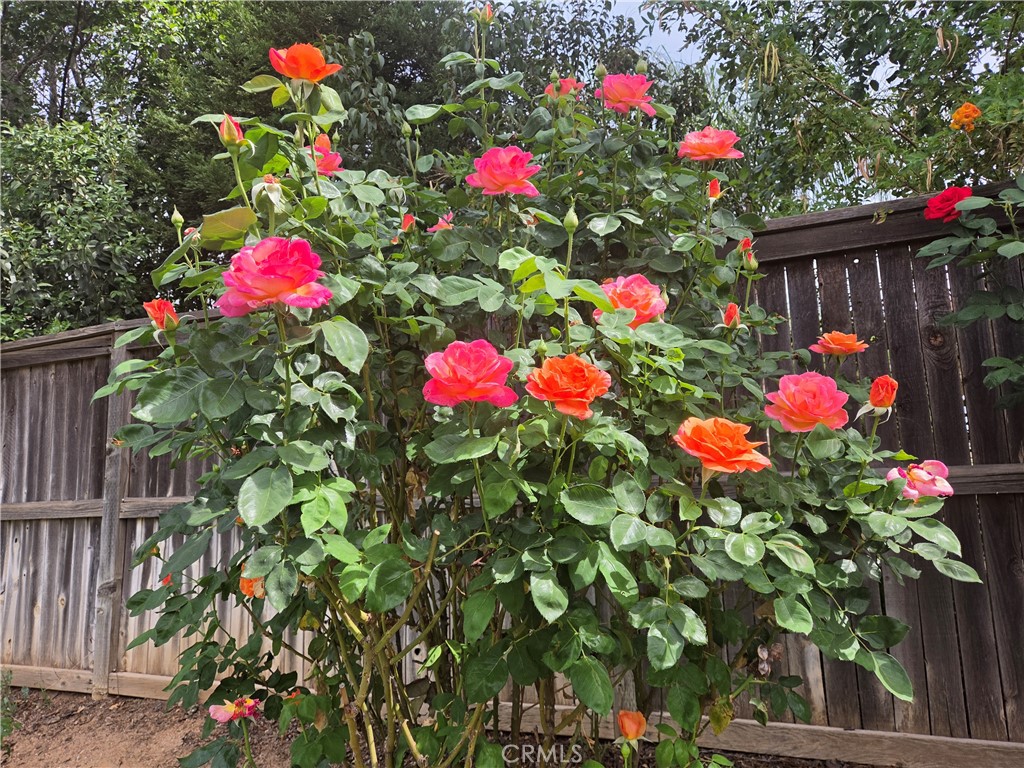 1140 N Shooting Star Drive