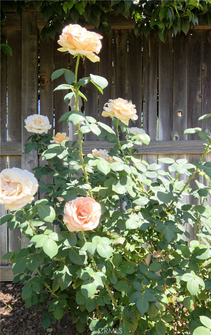 1140 N Shooting Star Drive