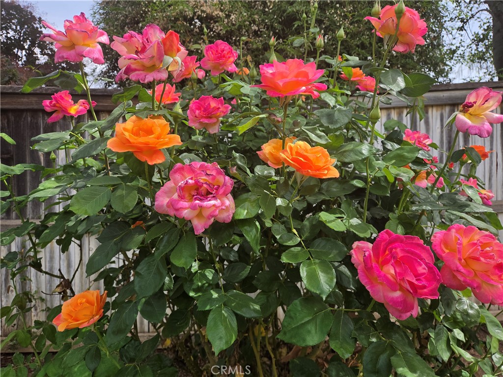 1140 N Shooting Star Drive