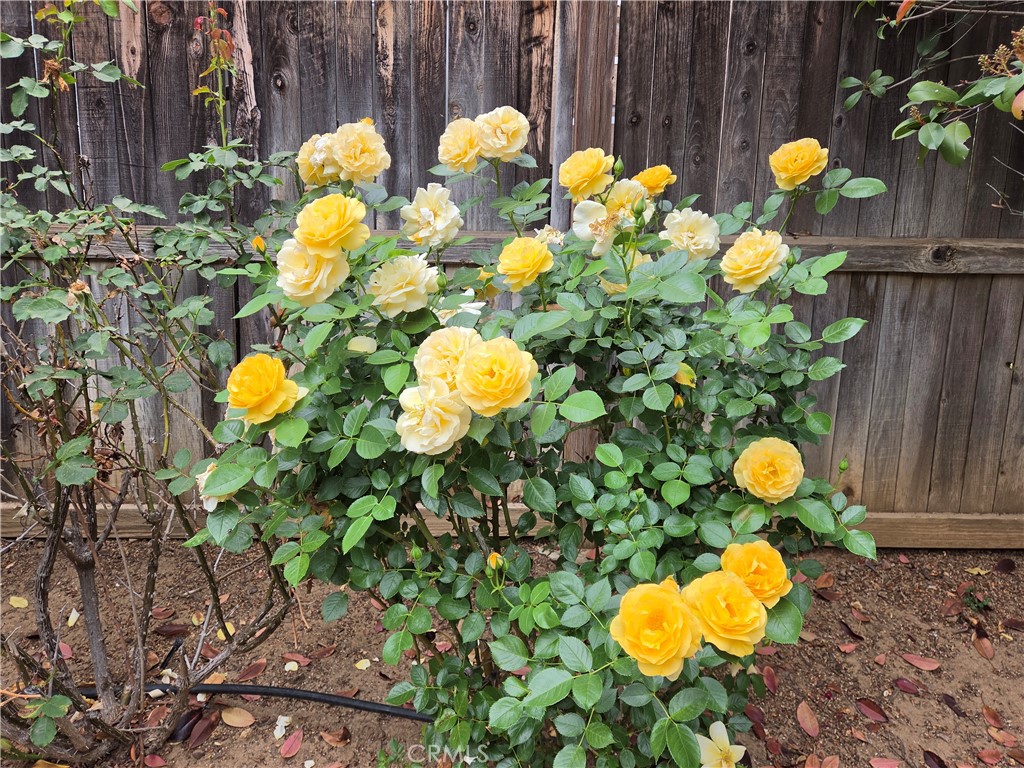 1140 N Shooting Star Drive