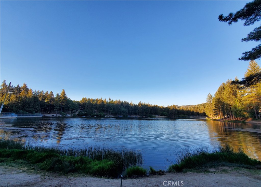 33429 Robin Drive