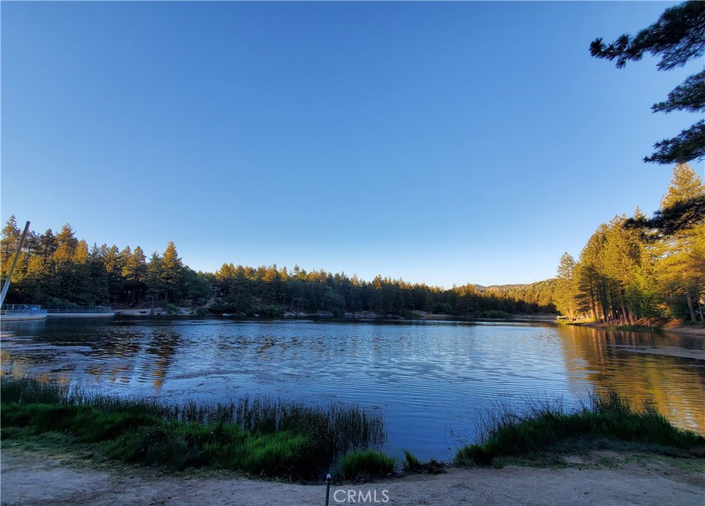 33429 Robin Drive