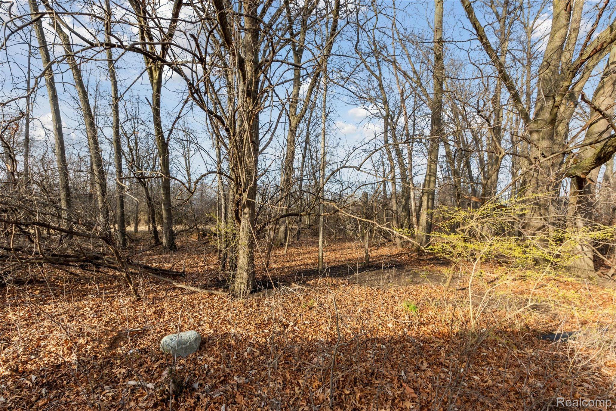 566 FIELDSTONE Circle N