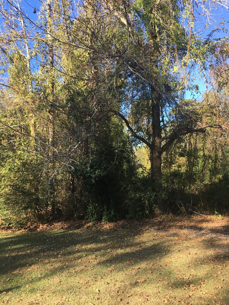 371 Curtis Drive
