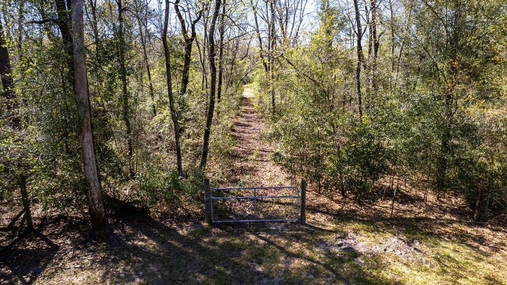 4000 Cox Rd