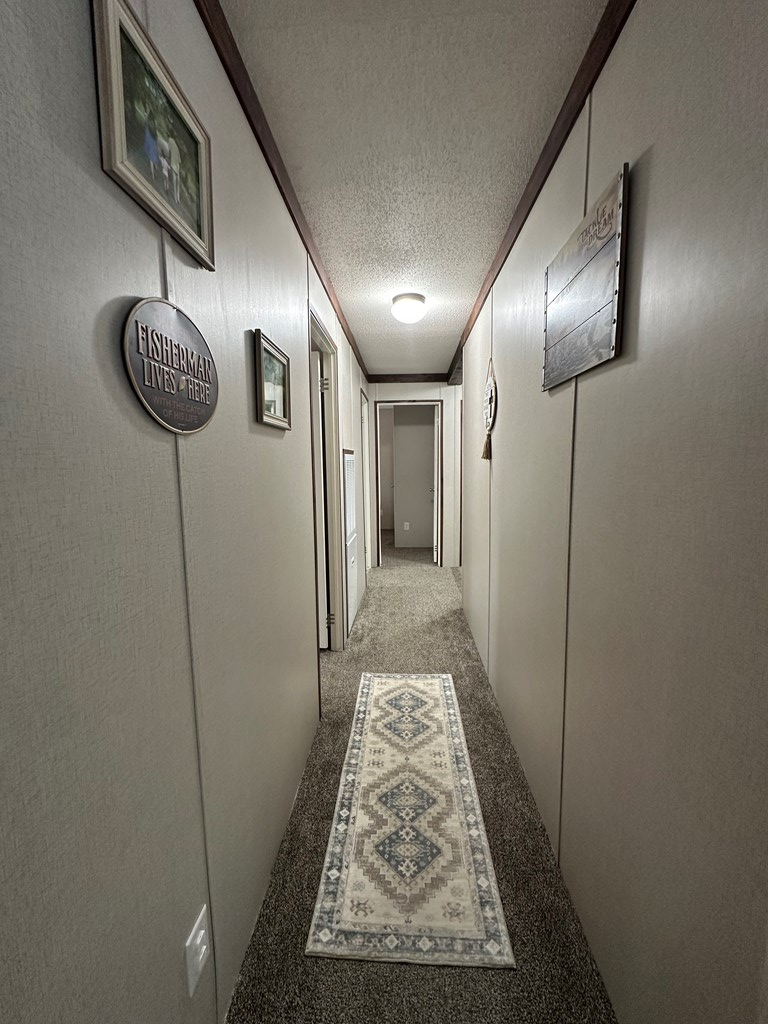 2203 Quail Run