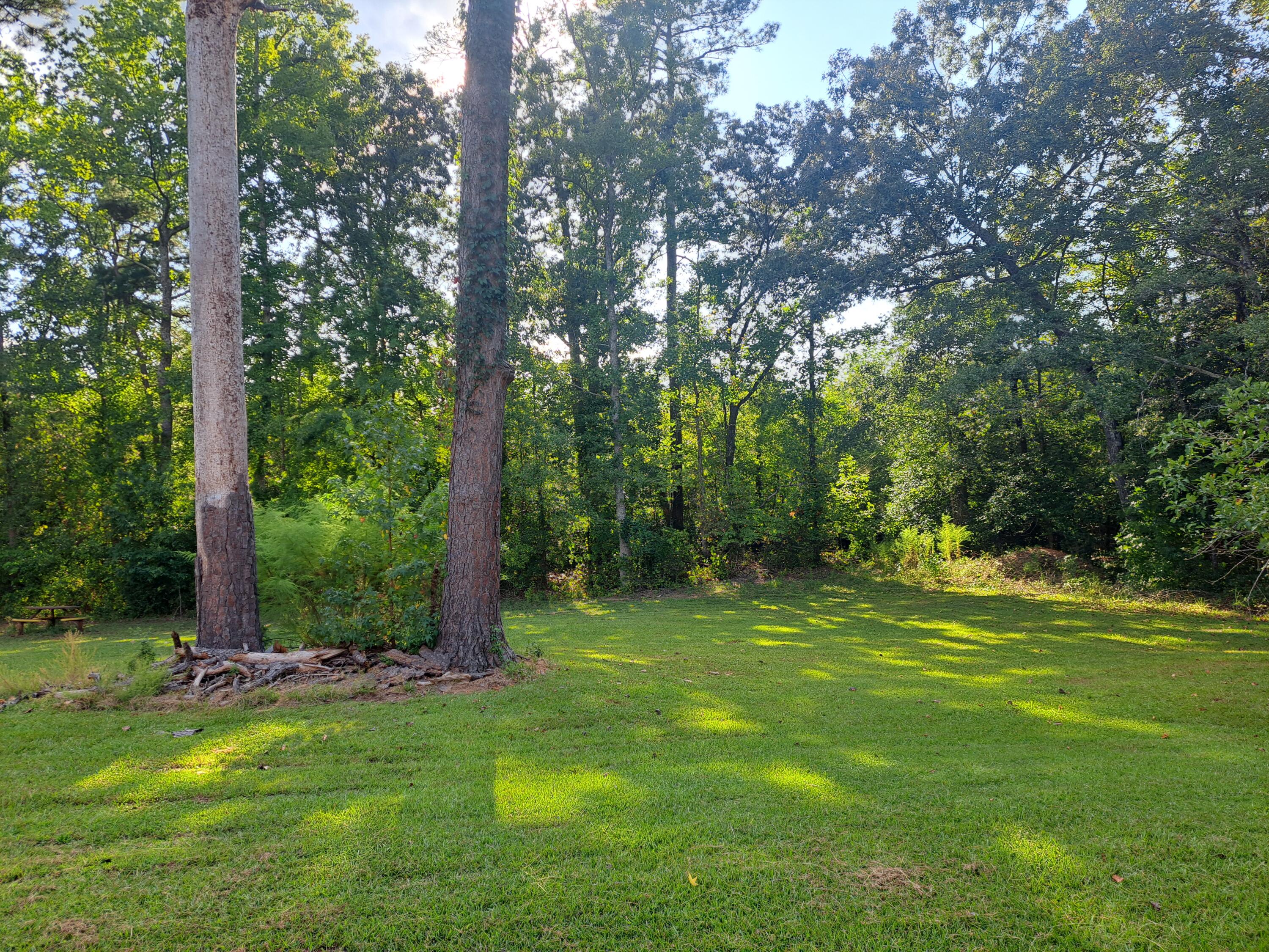 3220 Gaillard Road
