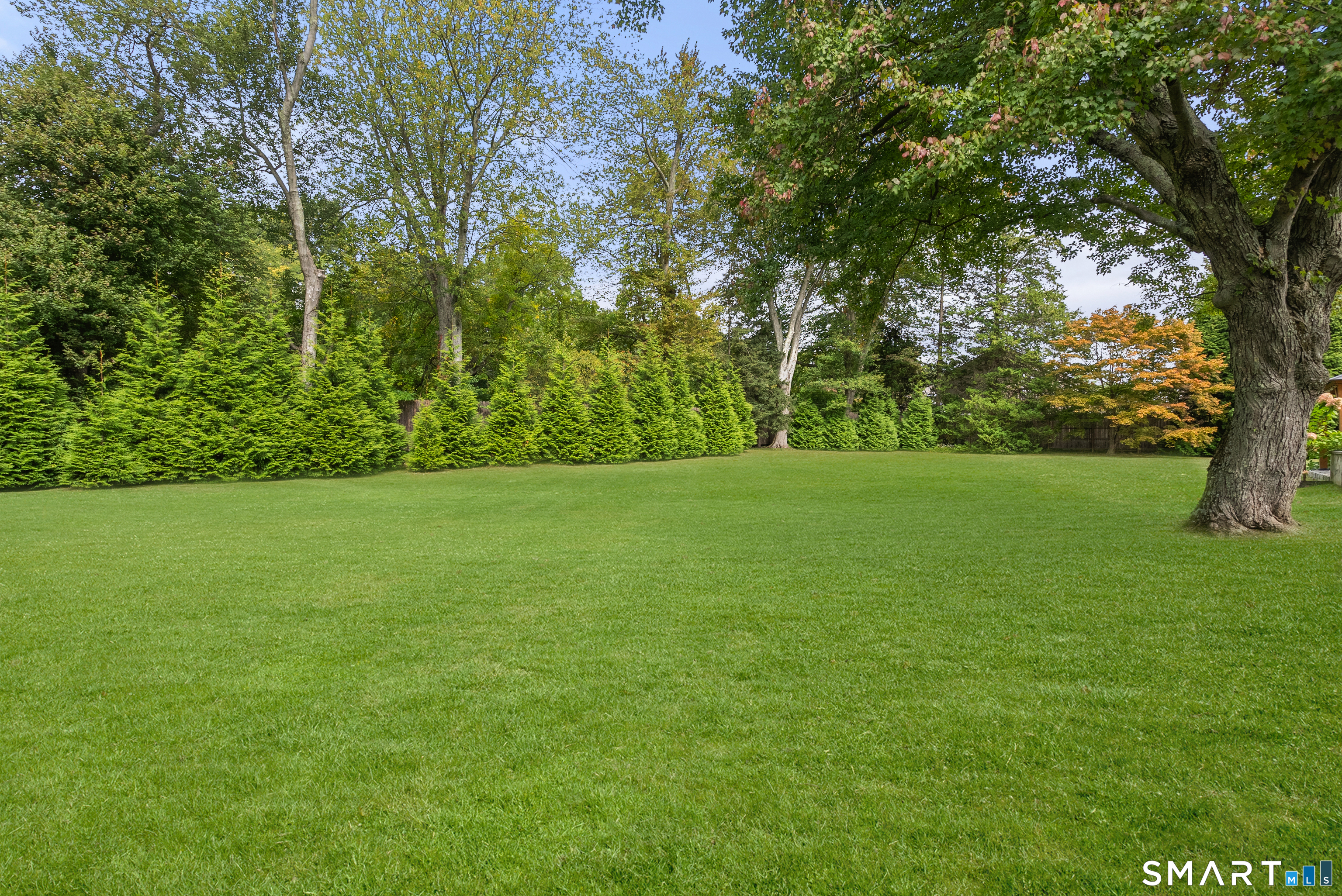 50 Kings Highway South