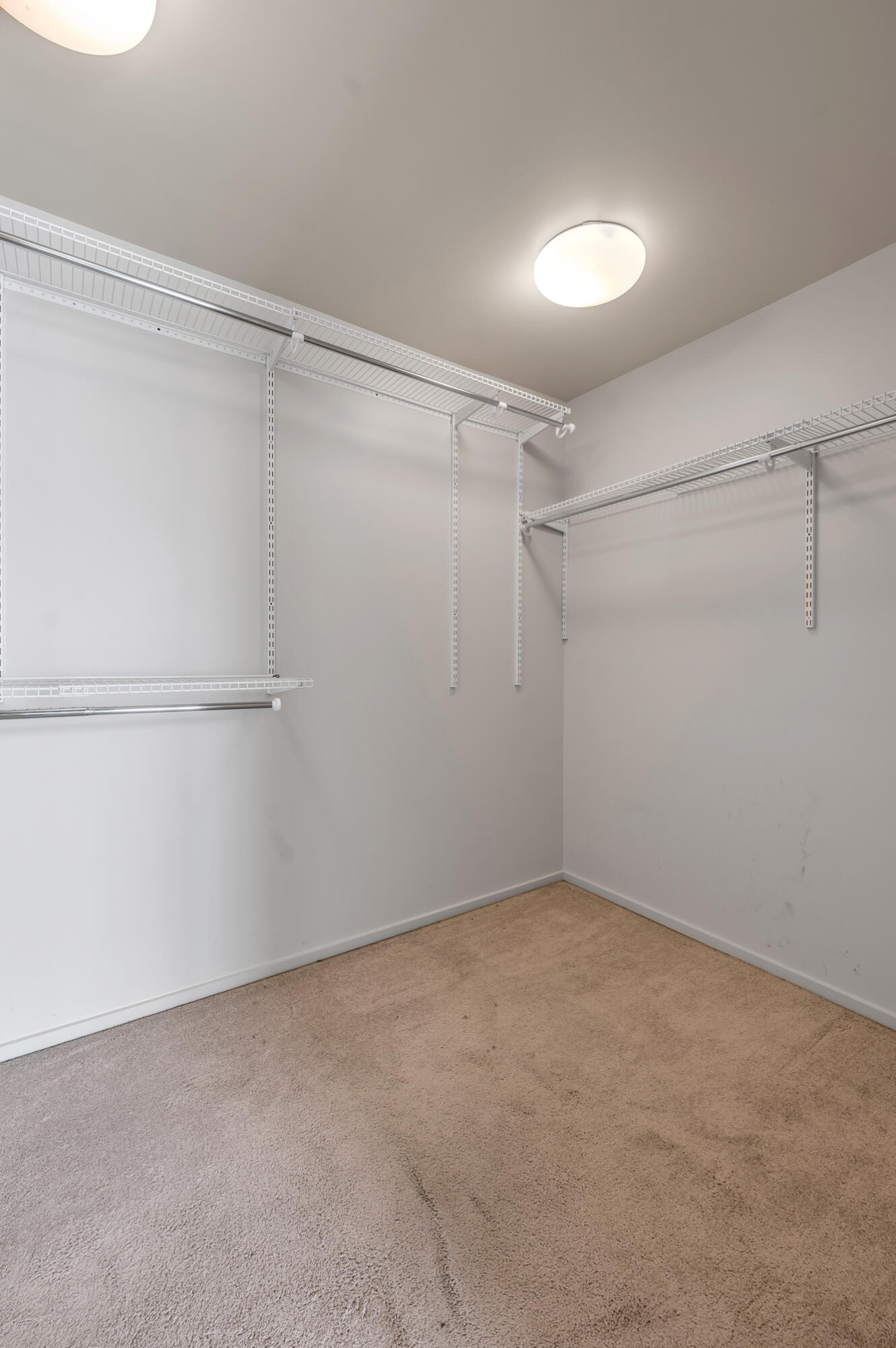 420 Lawrence Street, 102