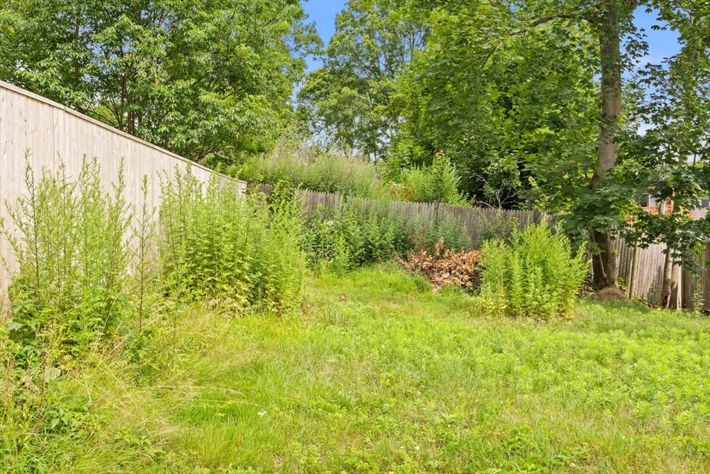 7 Fox St # 1, Boston Unit: 1