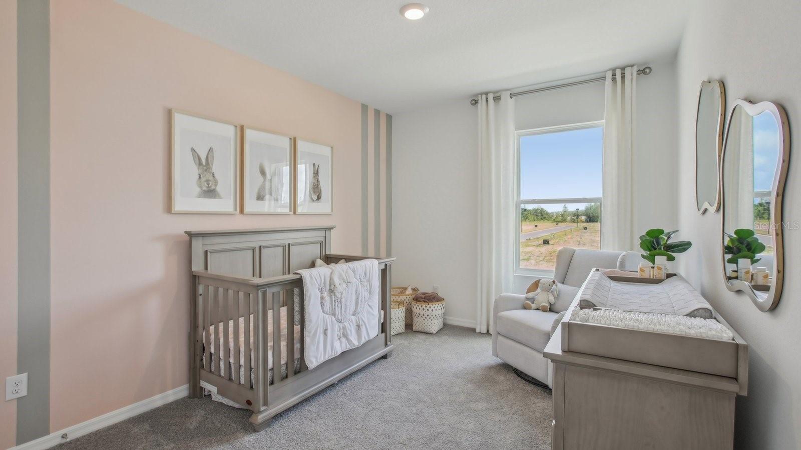 2677 BIRNEY RUN