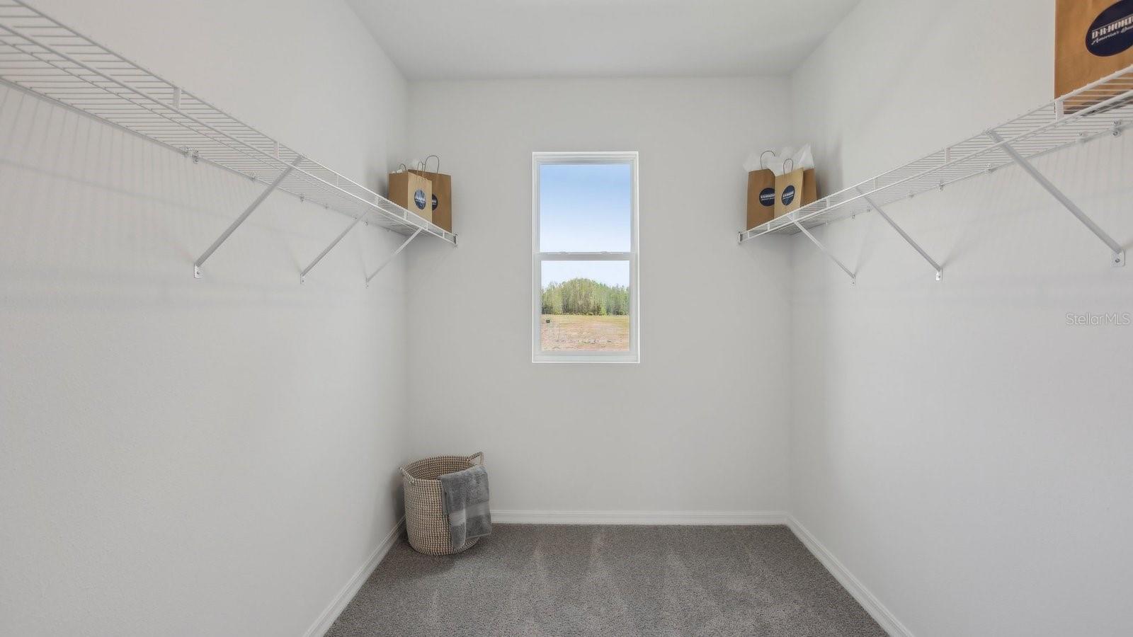 2677 BIRNEY RUN