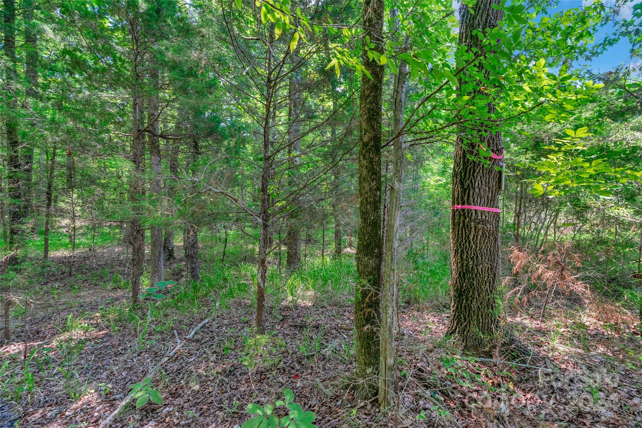 0000 William Martin Road Unit: 1