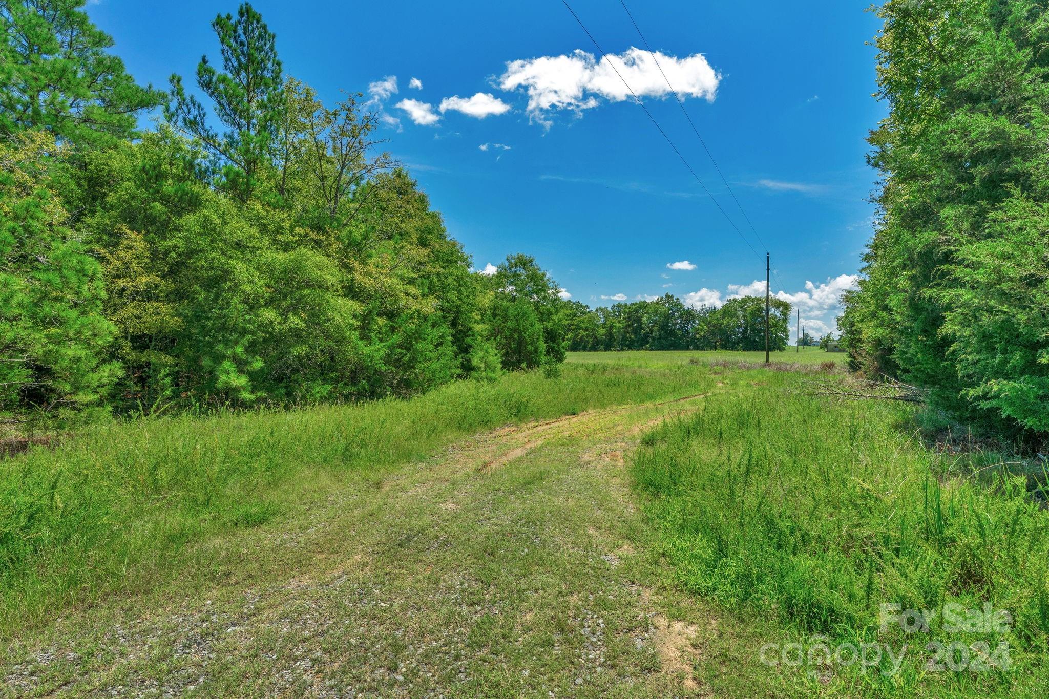 0000 William Martin Road Unit: 4