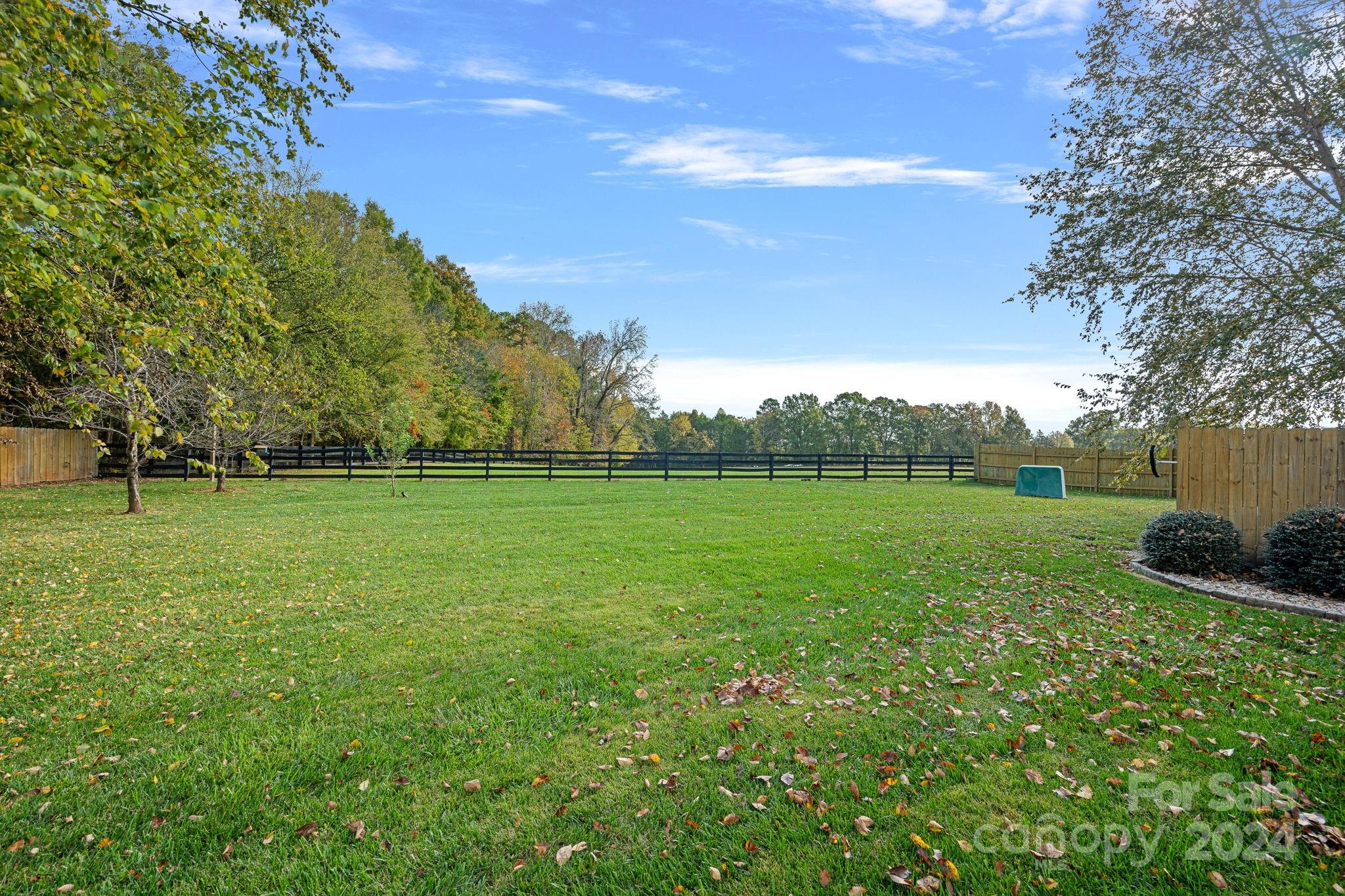 1480 Odell School Road