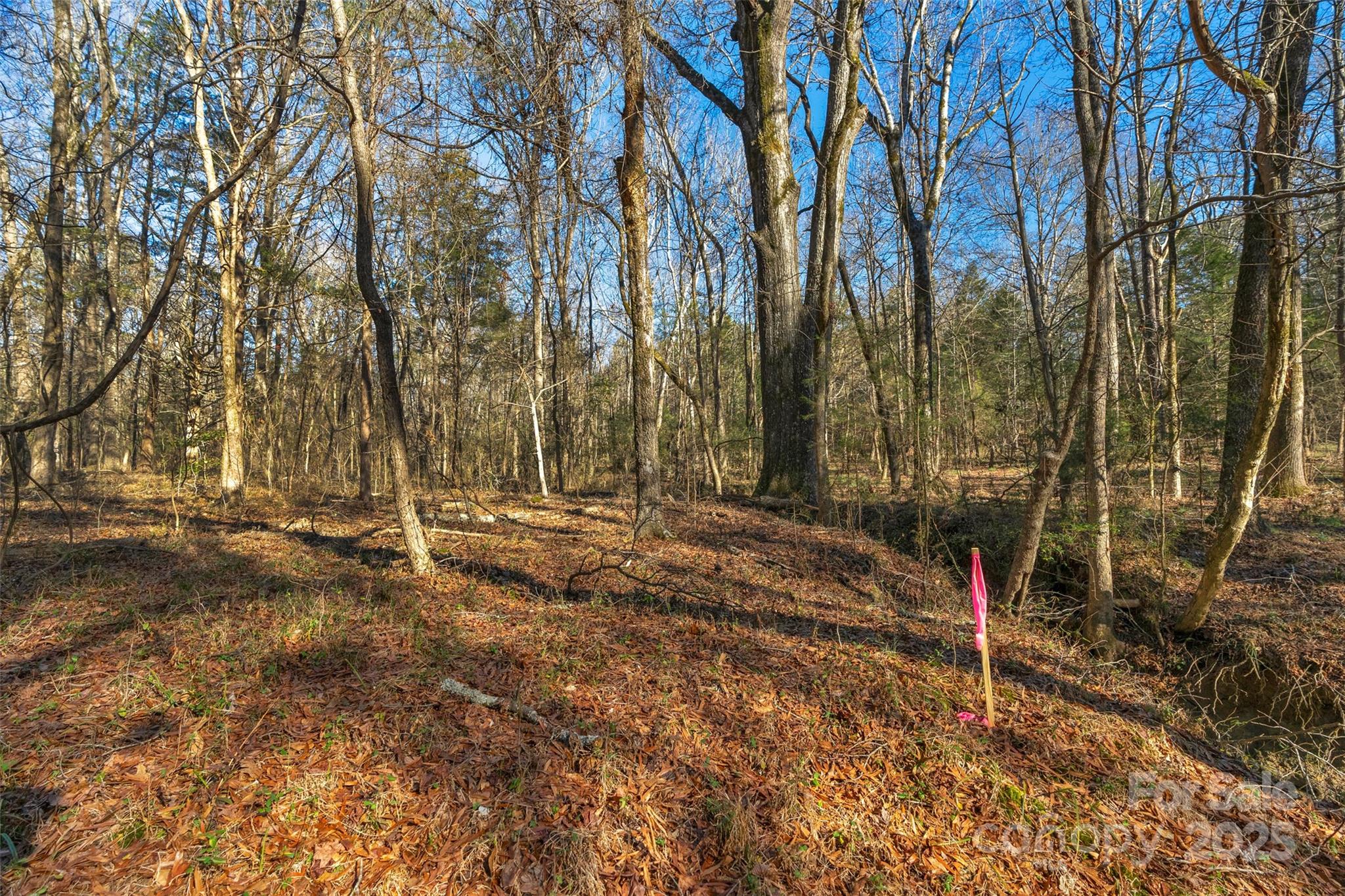 00 W Green Glen Road