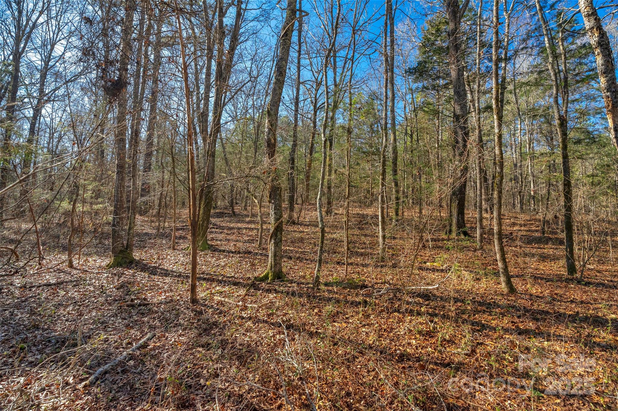 00 W Green Glen Road