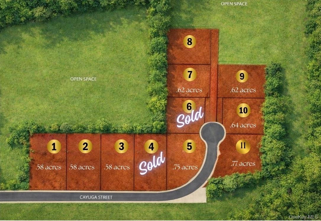 Lots 1-11 Cayuga Street