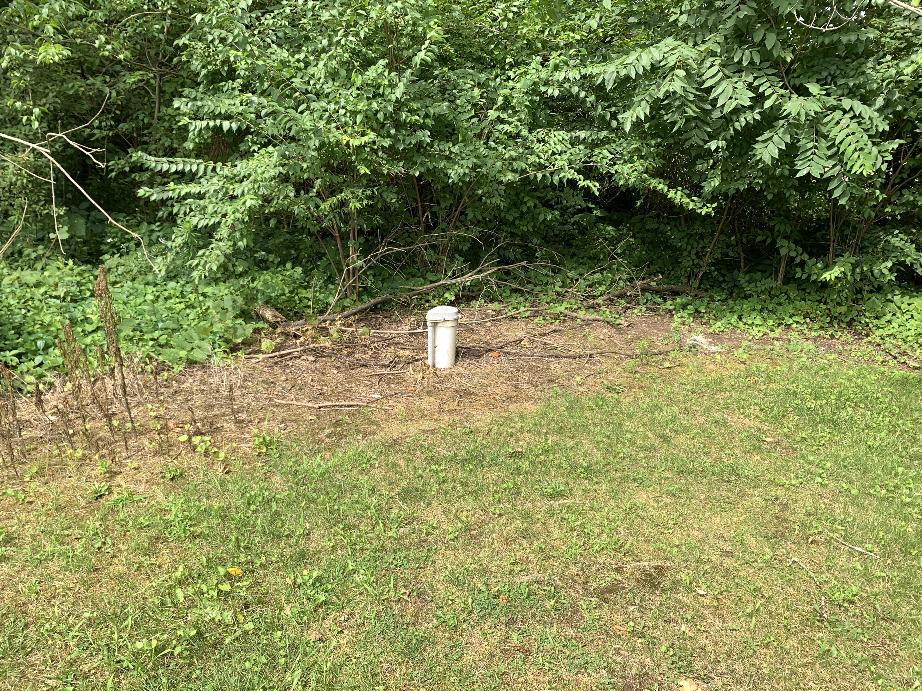 2951 Naomi Road
