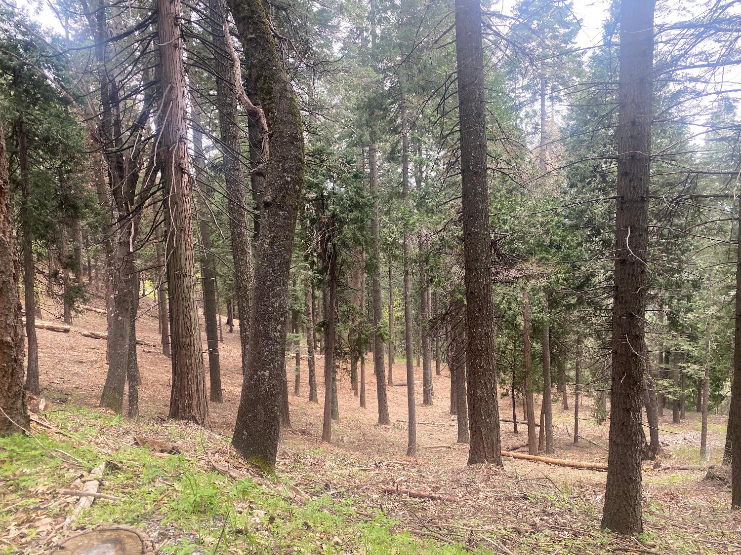 3 .75 Acres Bullion Bend Road