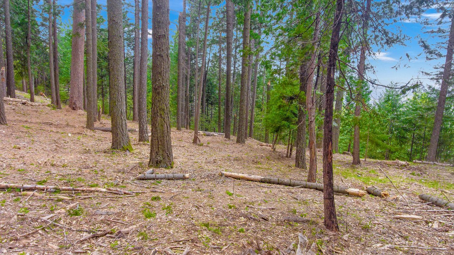 3 .75 Acres Bullion Bend Road