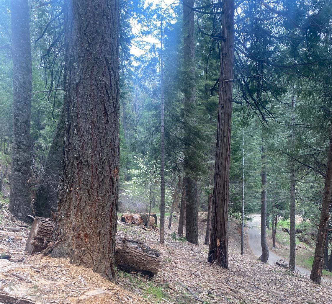 3 .75 Acres Bullion Bend Road