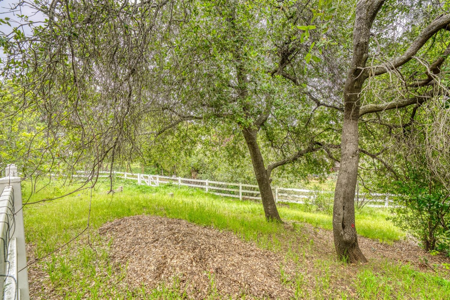 2653 KNOLLWOOD Drive