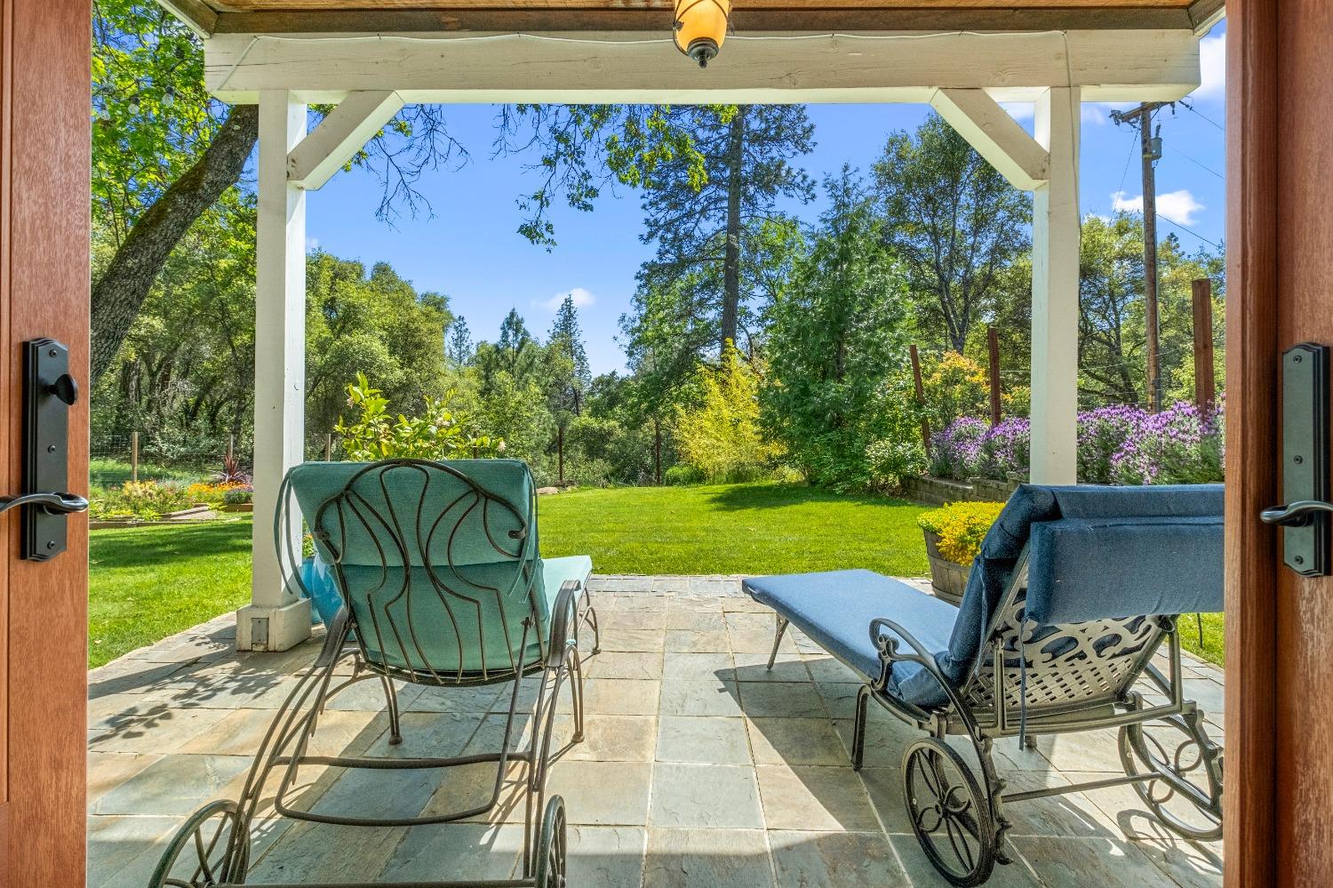 3137 Squirrel Hollow