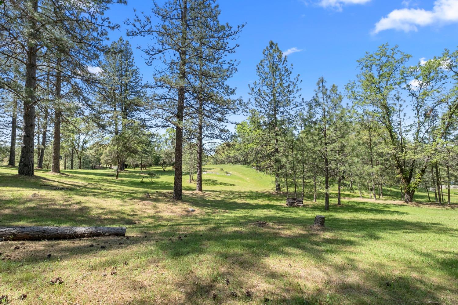 3137 Squirrel Hollow