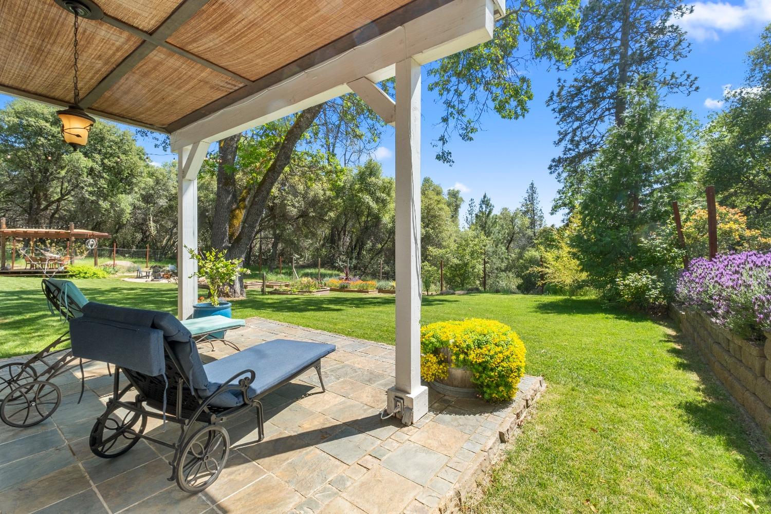 3137 Squirrel Hollow